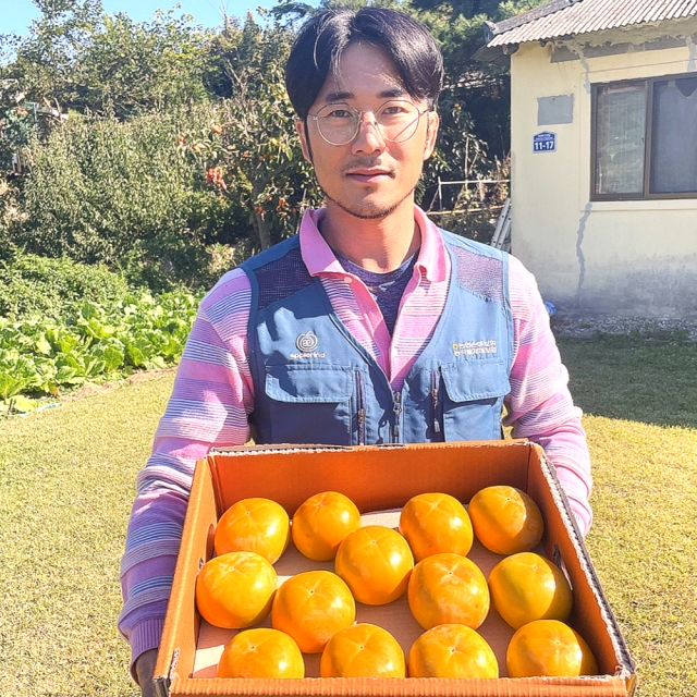 [시즌상품] 아삭한 창원 햇 부유단감